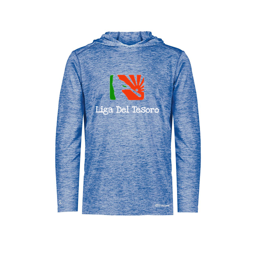 [FOLHCGRY-AS-LOGO1] Decker Men's Charge Hoodie (Adult S, Royal, Logo 1)